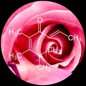 Pomarose (Rose apple note)