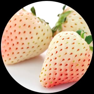 Pineberry