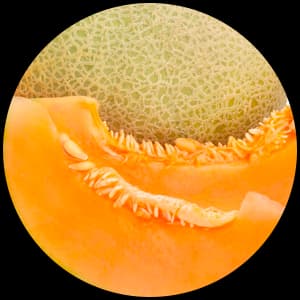 Melon