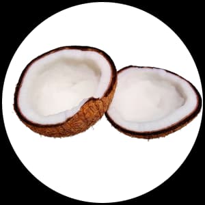 Coconut
