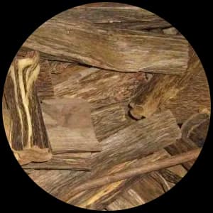 Oud / Agarwood