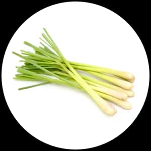Lemongrass
