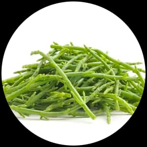 Samphire