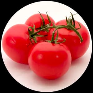 Tomato