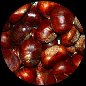 Chestnut
