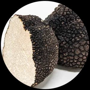 Truffle