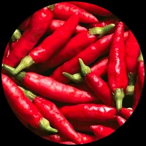 Hot Pepper