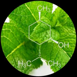 Menthol