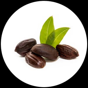 Jojoba oil