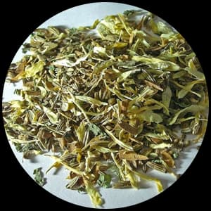 White Tea