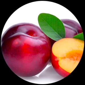 Plum