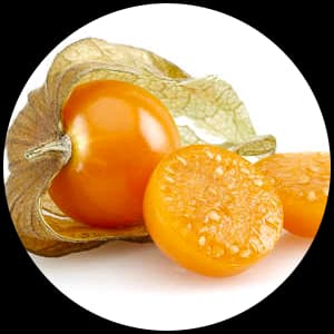 Physalis Fruit