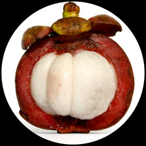 Mangosteen