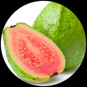 Guava