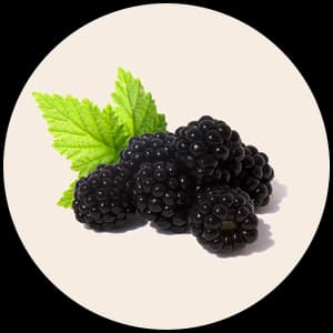 Blackberry
