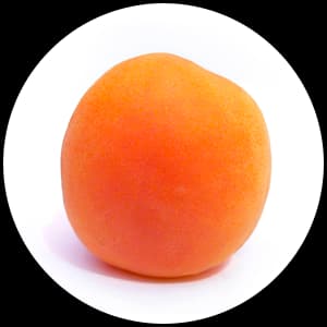 Apricot