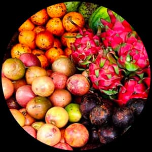 Exotic Fruits