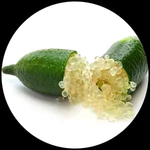 Caviar Lime (Finger)