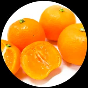 Calamondin