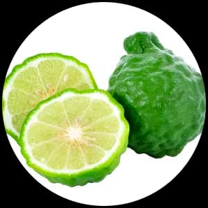 Bergamot