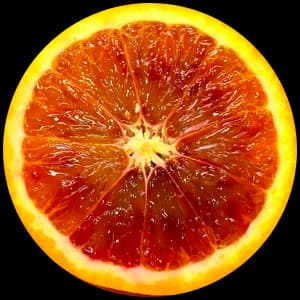Blood Orange