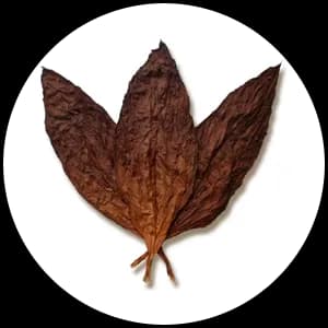 Tobacco Leaf