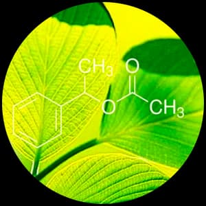 Styrallyl Acetate (green note)