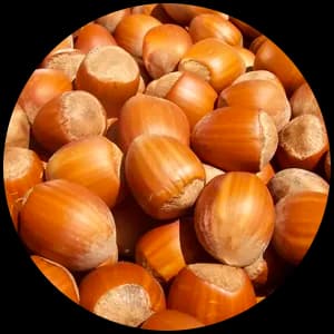 Hazelnut