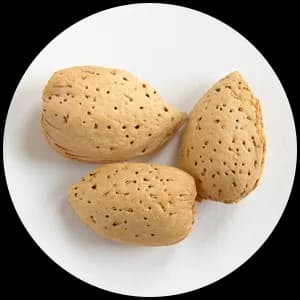 Almond