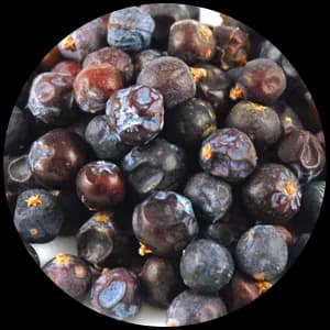 Juniper Berries