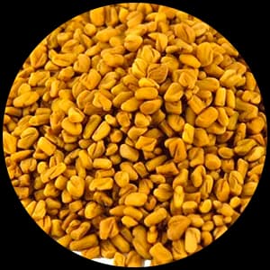 Fenugreek