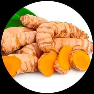 Curcuma (Turmeric)
