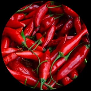 Chilipepper
