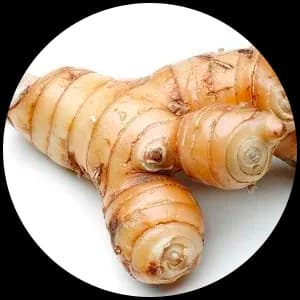 Galangal